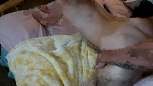 udesire25 pussy Webcam SHOW @ Chaturbate 03-10-2024