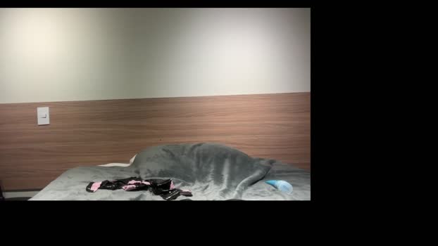 flirtyndirtycom fuckass Webcam SHOW @ Chaturbate 08-10-2024