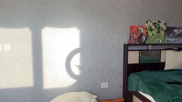 diora_vibe Couple Chaturbate 13-10-2024