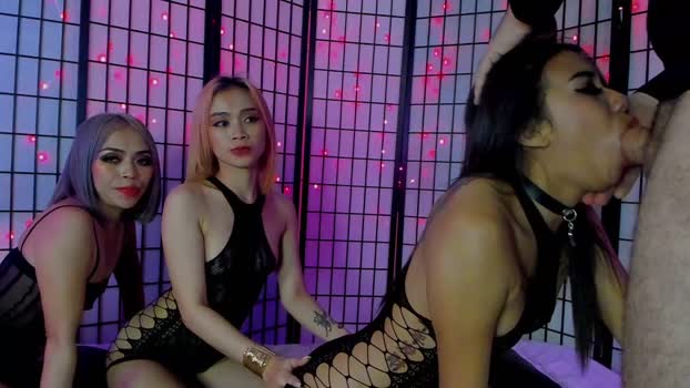 dongfatherproductions Couple Chaturbate 20-10-2024