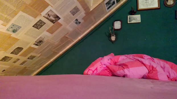 seductivebitxh Couple Chaturbate 29-10-2024