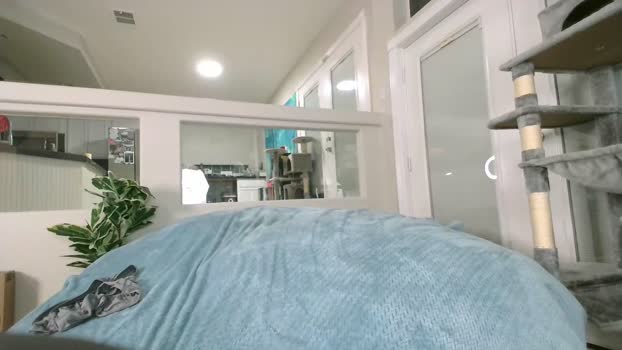 alexxxcoal Female Chaturbate 01-11-2024