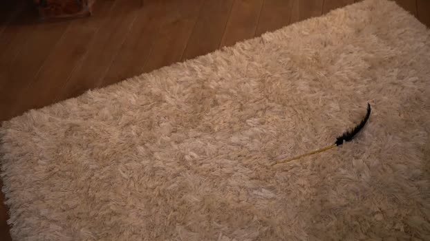 mialandxx Couple Chaturbate 05-11-2024