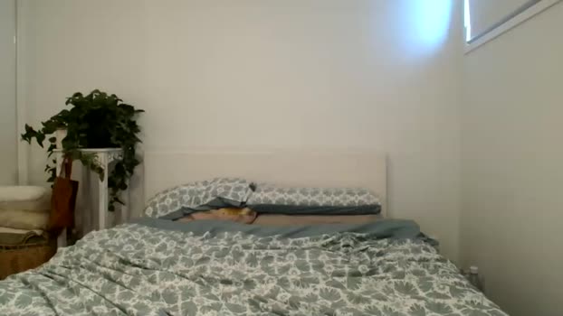 teleaevansss Female Chaturbate 08-11-2024