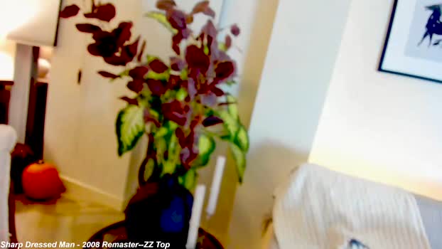 x_lily_x Female Chaturbate 08-11-2024