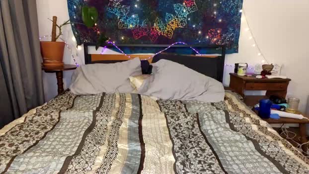 dropyourpansys Couple Chaturbate 10-11-2024