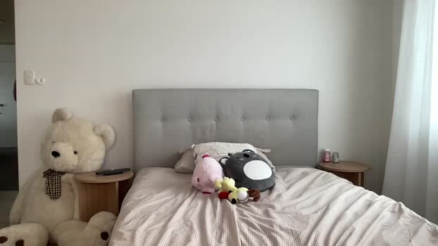 shysashy Female Chaturbate 11-11-2024