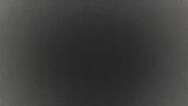 spinnerbitch Couple Chaturbate 11-11-2024