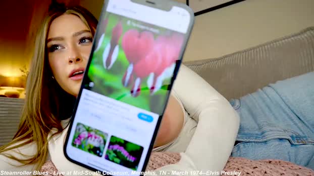 x_lily_x Female Chaturbate 11-11-2024
