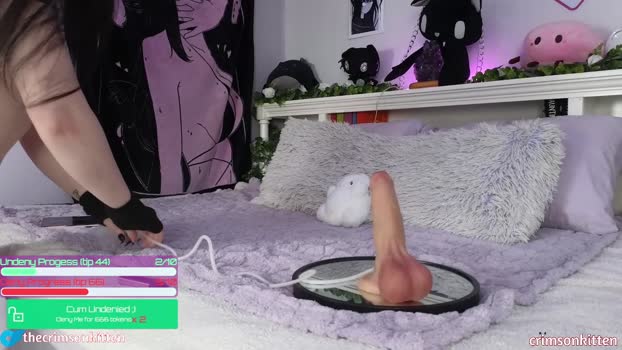 crimsonkitten Female Chaturbate 12-11-2024