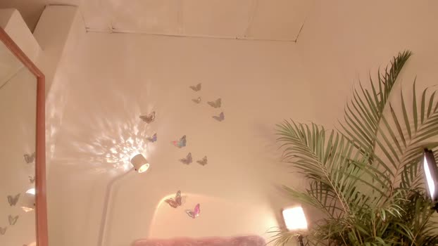 power_ranger_pink Female Chaturbate 14-11-2024
