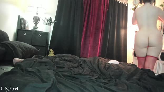 lilypixel Female Chaturbate 15-11-2024