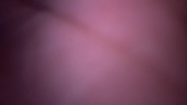 red_and_wild222 Couple Chaturbate 17-11-2024