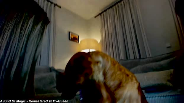 x_lily_x Female Chaturbate 17-11-2024