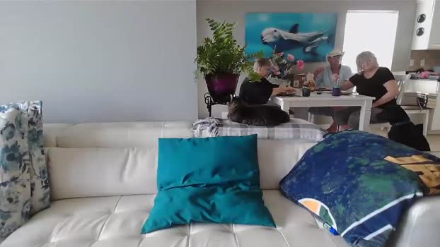 smallpenisbigtongue Couple Chaturbate 19-11-2024
