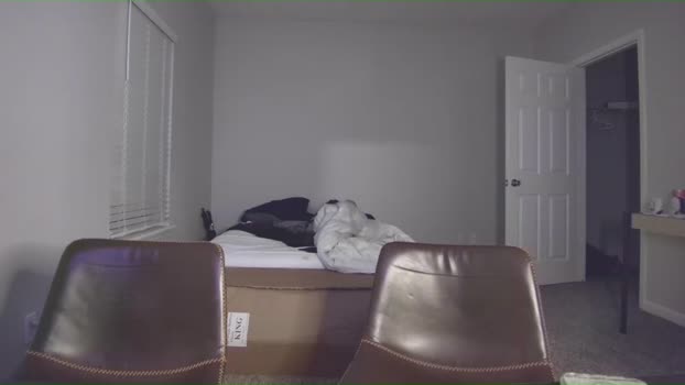 itstarzan Couple Chaturbate 20-11-2024