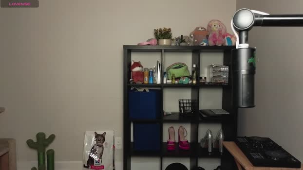 alexa_dream Female Chaturbate 21-11-2024