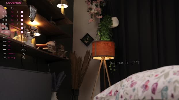 kateharrise Female Chaturbate 22-11-2024