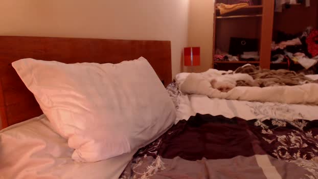 andrasweetie Female Chaturbate 24-11-2024