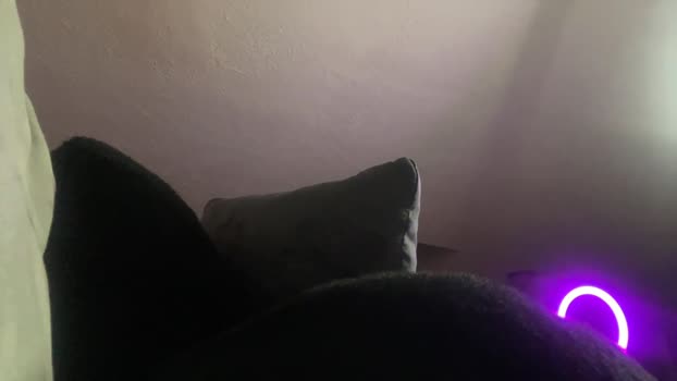 danidragon69 Couple Chaturbate 24-11-2024