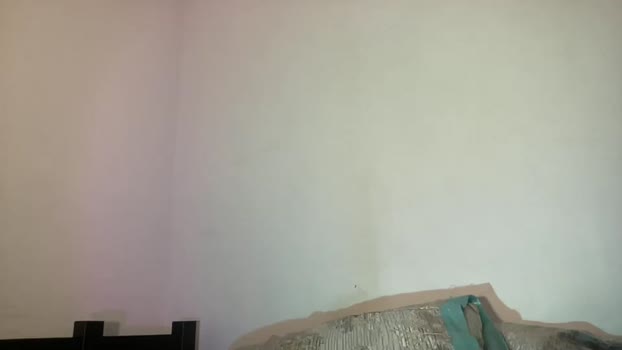 euphoriha Female Chaturbate 25-11-2024