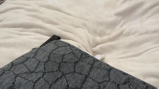 addiebauer Female Chaturbate 25-11-2024