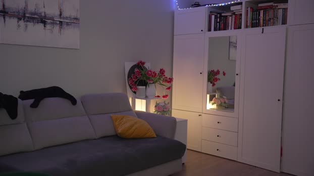 _blackbee_ Female Chaturbate 26-11-2024