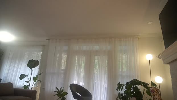 lace___ Female Chaturbate 27-11-2024
