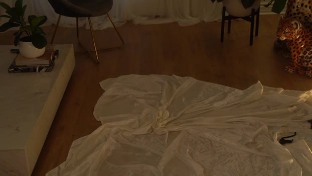 lace___ Female Chaturbate 27-11-2024