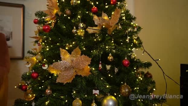 jeangreybianca Female Chaturbate 28-11-2024