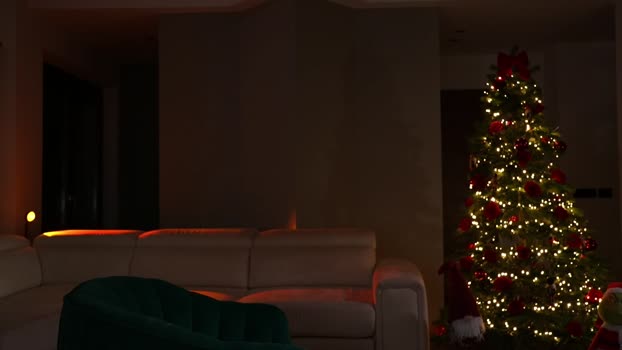 jseductiveart Female Chaturbate 30-11-2024