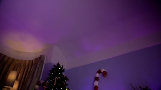littlee33 Female Chaturbate 02-12-2024