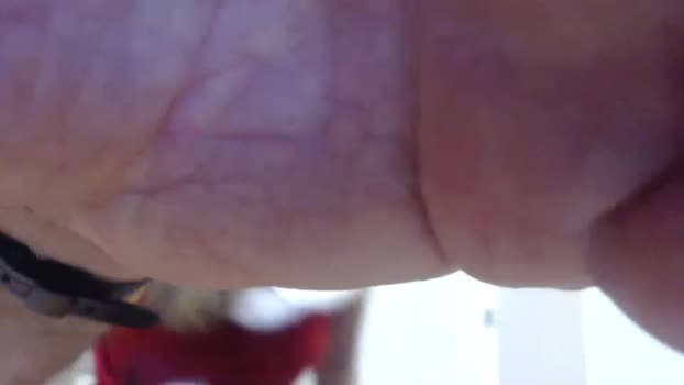 buddiup2 Couple Chaturbate 08-12-2024