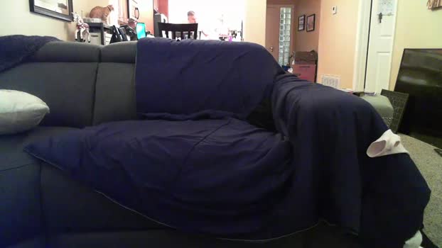 dollfaceklla Couple Chaturbate 08-12-2024