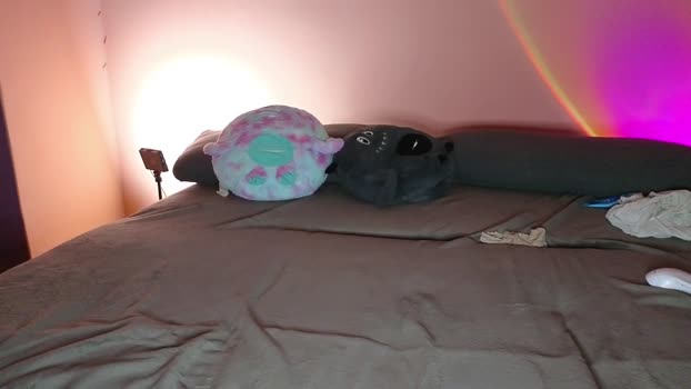 katusha008 Couple Chaturbate 09-12-2024