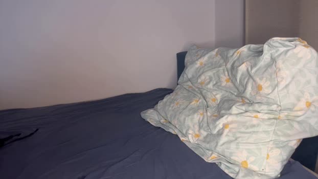 legalilol Couple Chaturbate 11-12-2024