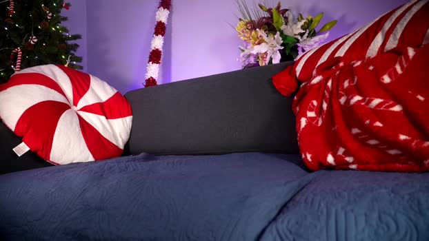 littlee33 Female Chaturbate 11-12-2024