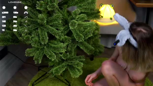 taitehambelton Female Chaturbate 12-12-2024