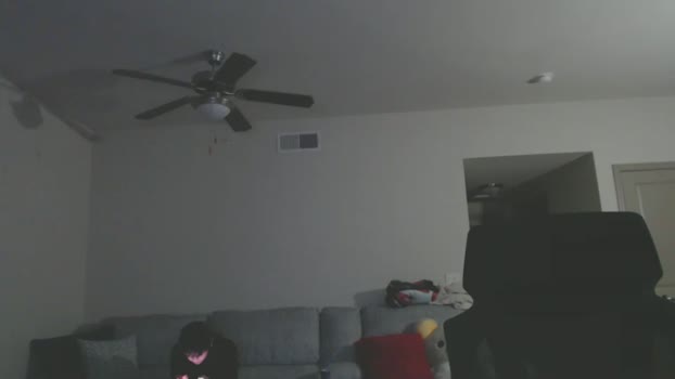 lustfullives Couple Chaturbate 13-12-2024