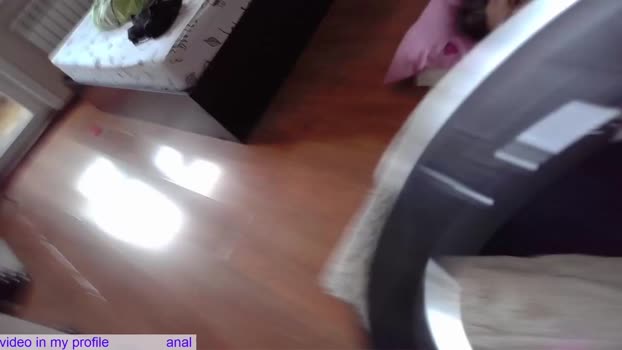 _pretty_fox_ Couple Chaturbate 13-12-2024