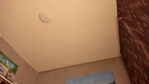 xlaracroftx Female Chaturbate 16-12-2024
