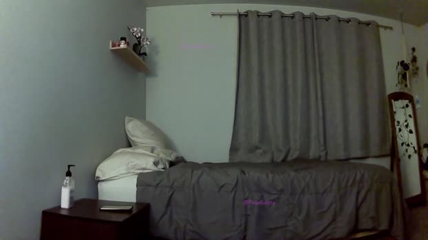 order169 Couple Chaturbate 17-12-2024