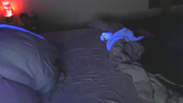 hollygirl88 Couple Chaturbate 21-12-2024