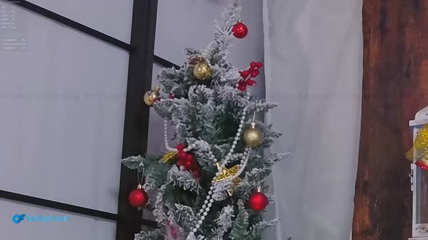 mollyflwers Female Chaturbate 20-12-2024