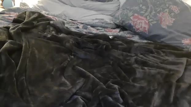 sb_couple Couple Chaturbate 21-12-2024