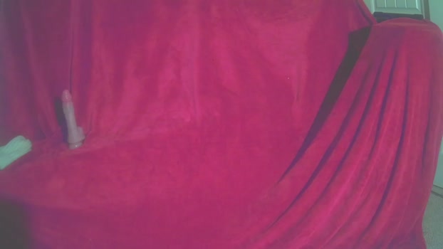 timida_pr