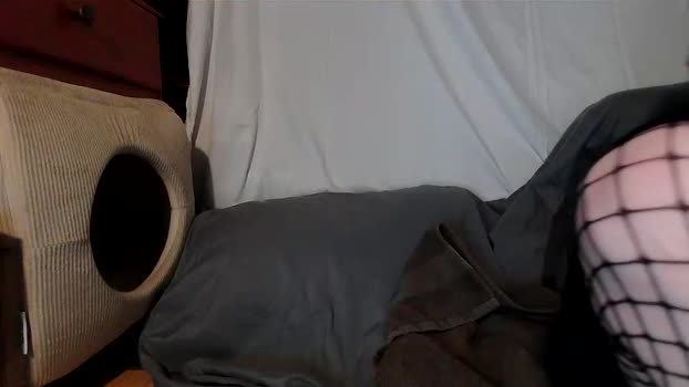 wacky_weirdo Female Chaturbate 26-12-2024
