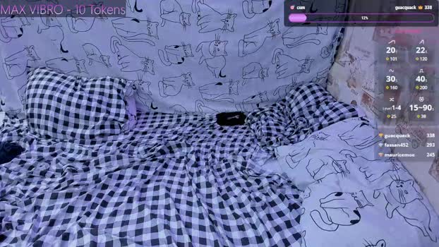 mmeeowww Couple Chaturbate 26-12-2024