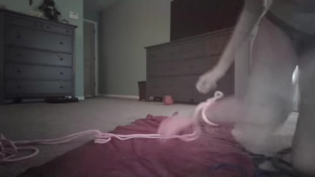 soaring_angel