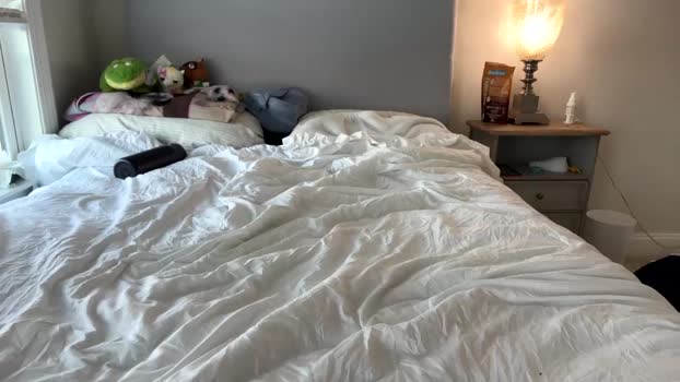 susannahxx Female Chaturbate 28-12-2024